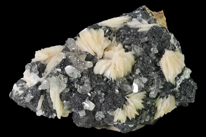Cerussite Crystals with Bladed Barite on Galena - Morocco #165729